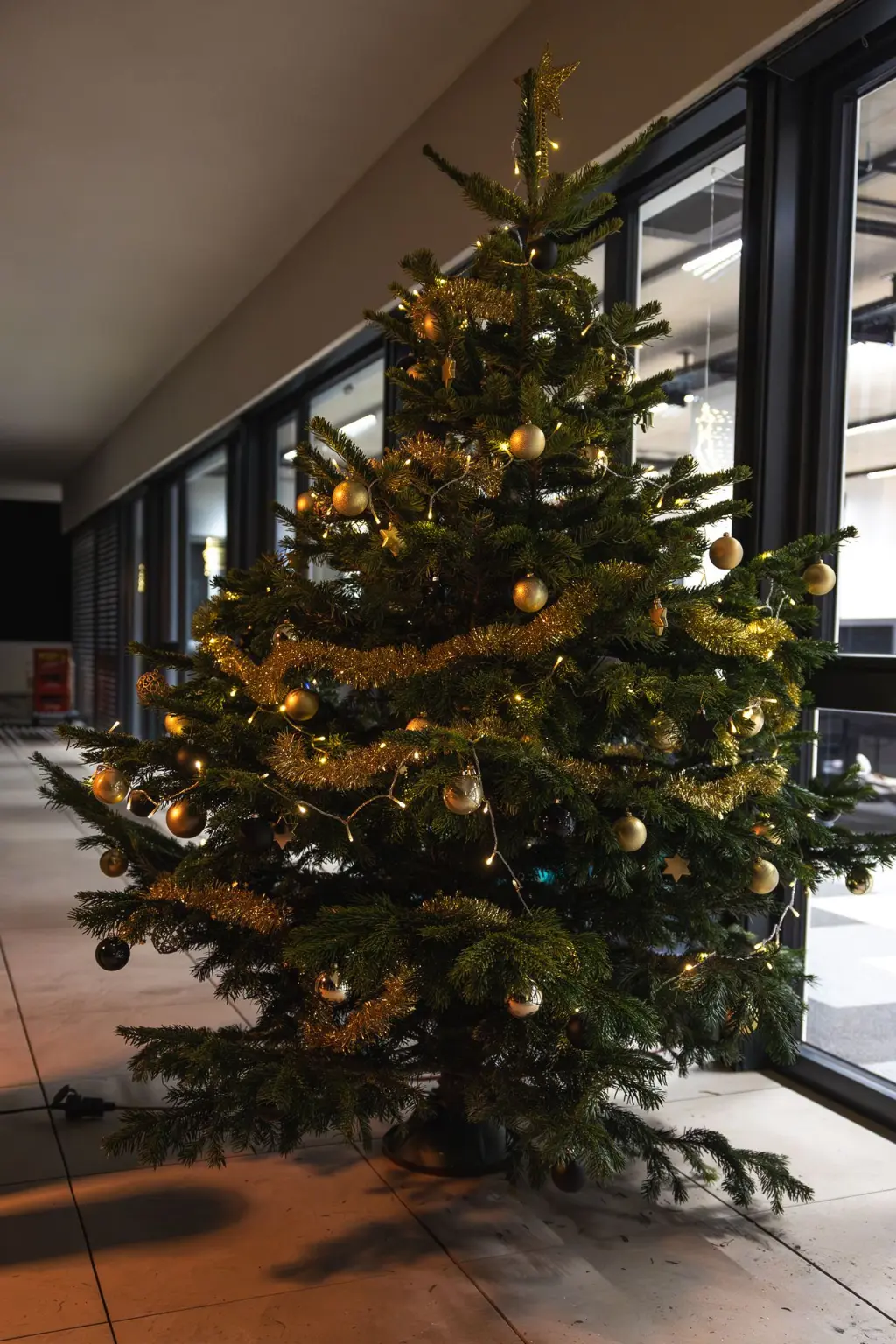 Christbaum beim Weboffice Event Christbaum beim Weboffice Event